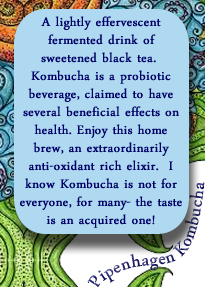 kombucha_label_back